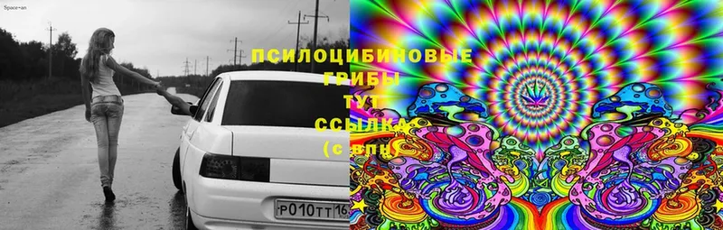 Галлюциногенные грибы Psilocybine cubensis  Барнаул 